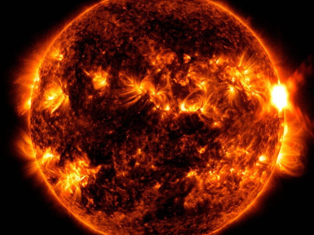 Foto: Así se ve el Sol cuando está cerca de su pico máximo de actividad (NASA)