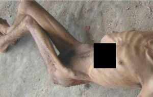 El régimen sirio ejecutó y torturó sistemáticamente a 11.000 presos