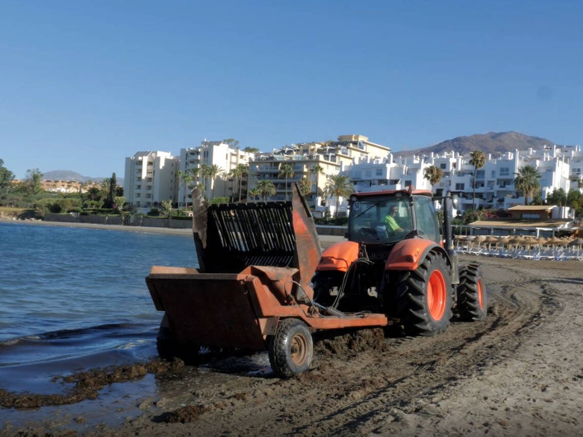 Foto: Los servicios operativos, trabajando en una playa de Estepona. (EC)