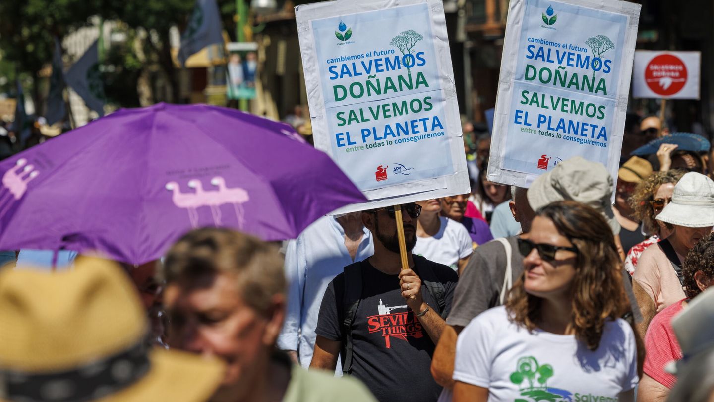 Manifestación convocada por la plataforma Salvemos Doñana. (EFE/Julio Muñoz)