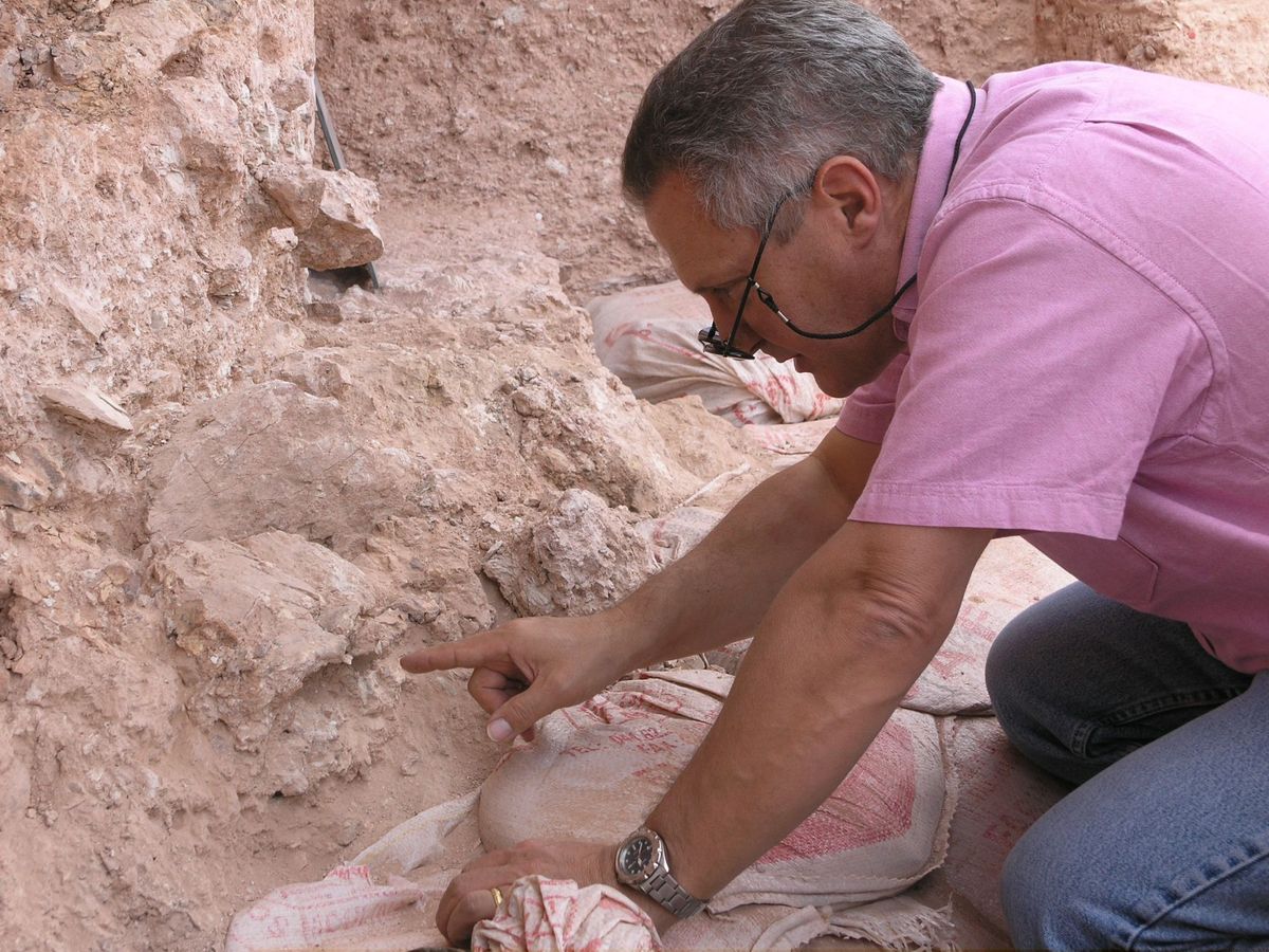 Foto: El paleontropólogo Jean-Jacques Hublin apuntando al cráneo humano aplastado en el sitio de Jebel Irhoud en Marruecos en 2017. (EFE) 