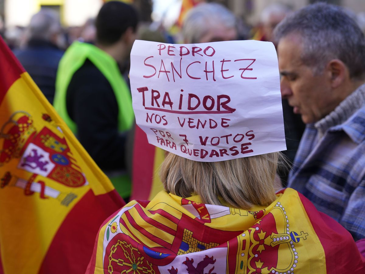 Foto: Manifestación en Barcelona contra la amnistía. (EFE/Alejandro Garcia)