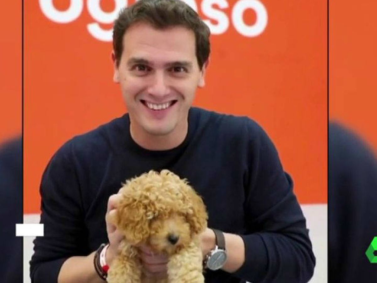 Foto: Albert Rivera con el cachorro Lucas. (Atresmedia)