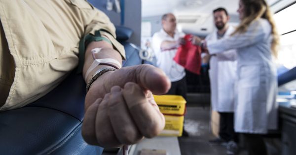 Foto: Interior de uno de los 22 autobuses de Cruz Roja instalados en la Comunidad de Madrid para donar sangre todos los días del año. (N.L.P)