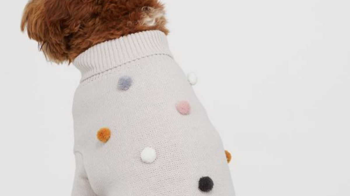 H&M quiere que tu perro vaya a la moda con esta colección de prendas sostenibles
