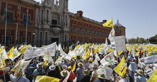 Foto: Los manifestantes, ante la sede de la Junta de Andalucía. (EFE)