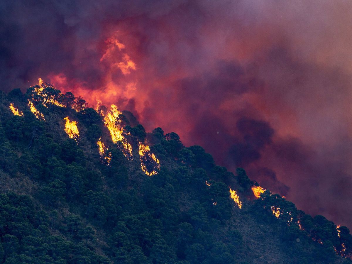 Foto: Casi 1.000 efectivos trabajan en el incendio de Pujerra. (EFE/Daniel Pérez)