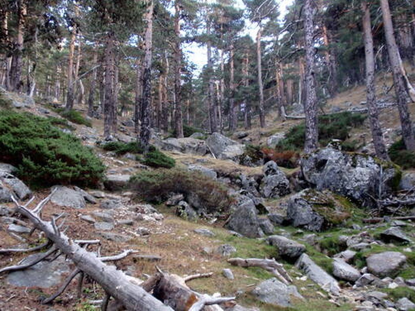 Vistas del Camino Schmidt. (Wikipedia)