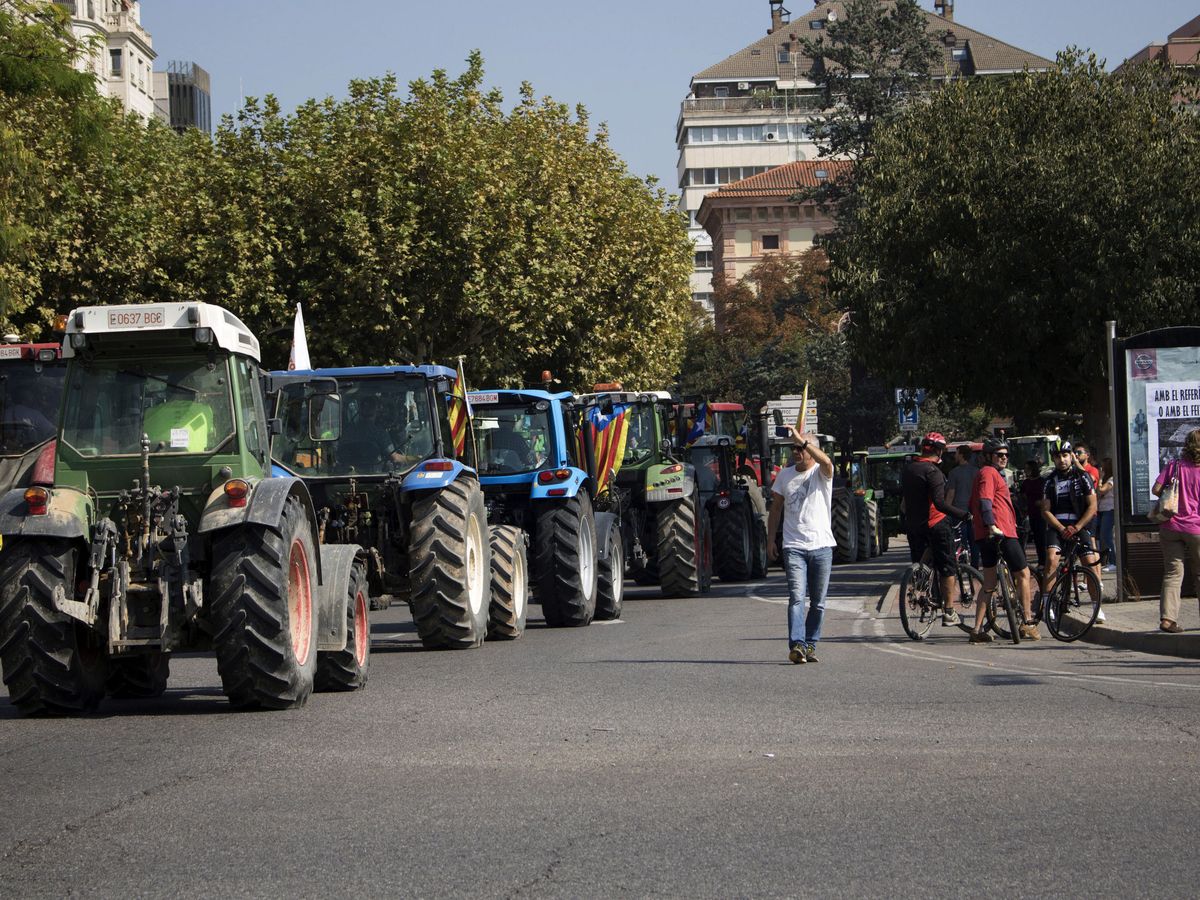 Foto: Un millar de tractores participan en marchas convocadas en Lleida y Vic. (EFE/Óscar Cabrerizo)
