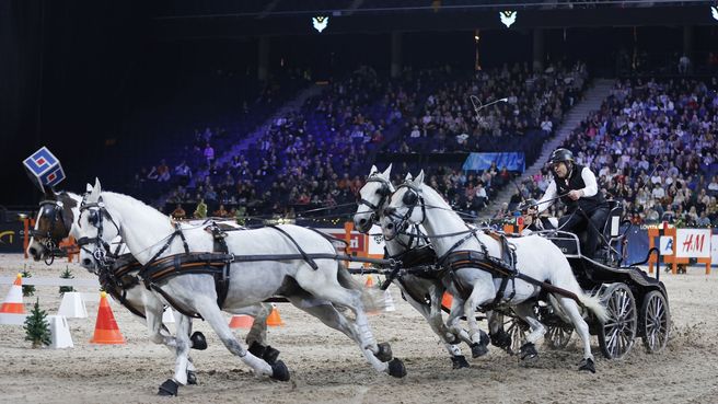 Foto de Exposición internacional de caballos de Suecia 