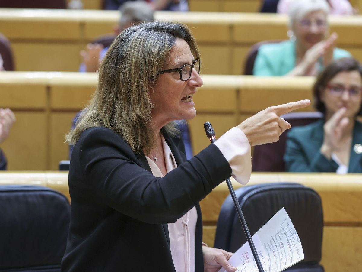 Foto: Teresa Ribera, vicepresidenta y ministra de Transición Ecológica, en la sesión de control en el Senado. (EFE / Kiko Huesca)