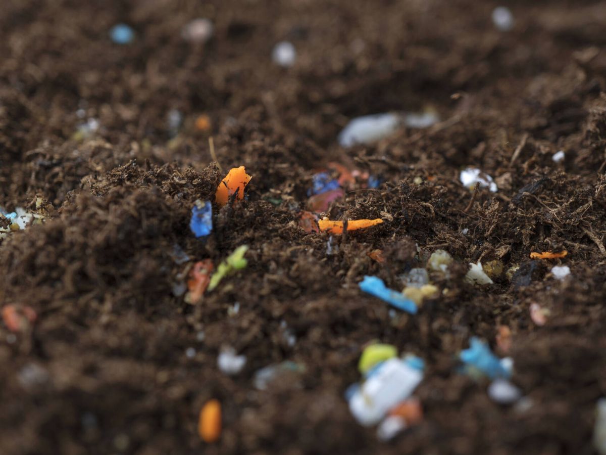 Foto: Los microplásticos invaden también las tierras de cultivo. (iStock)