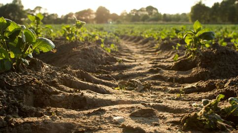 La erosión del suelo provocará una reducción del 10% de la producción de alimentos en 2050