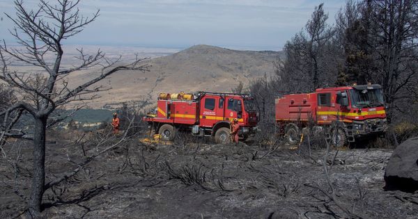 Foto: Los bomberos actúan en el incendio de La Granja de San Ildefonso (Segovia) en agosto. (EFE)