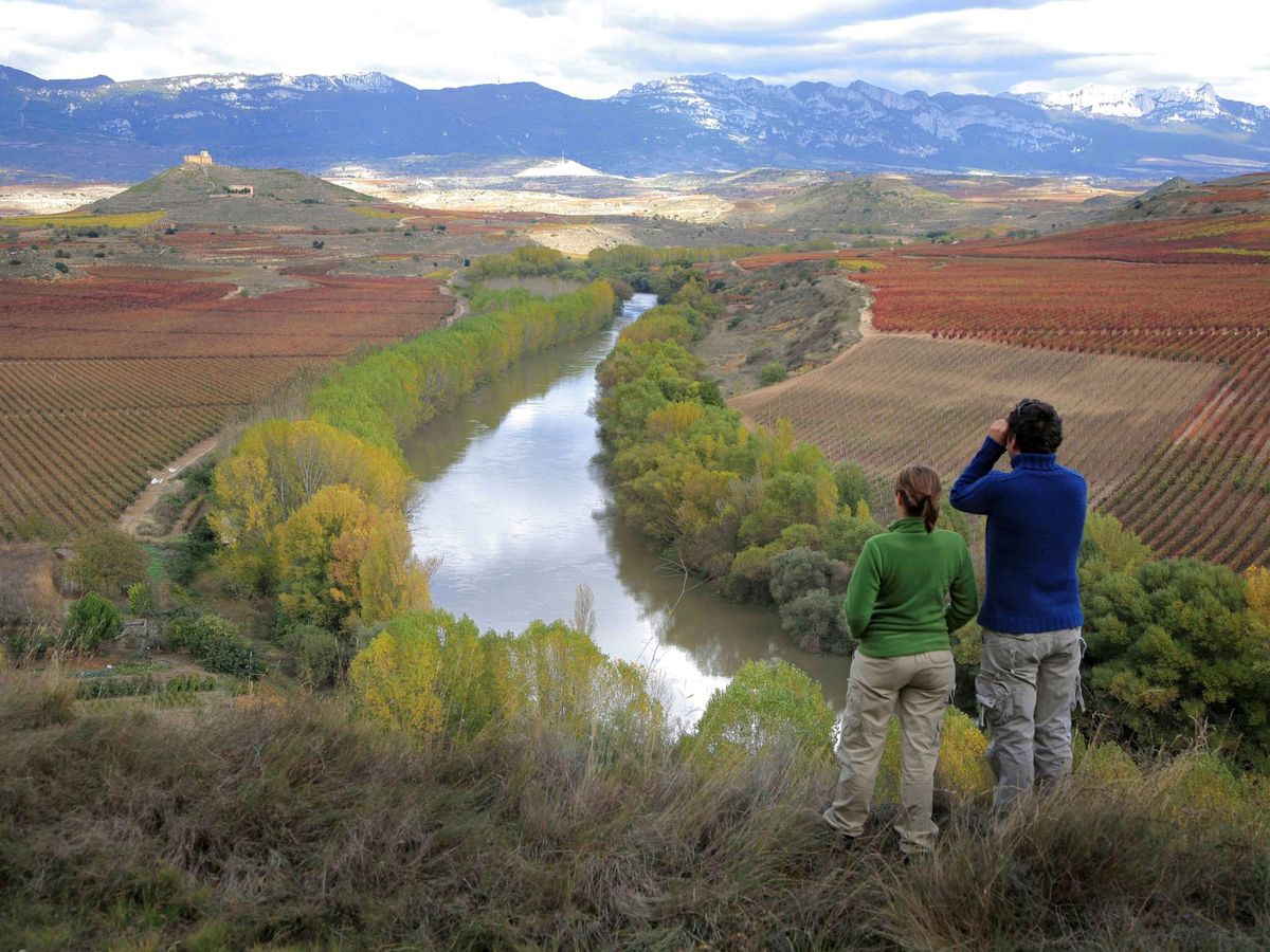 Foto: Campos de cultivo rodeados de naturaleza en La Rioja. (EFE/Gobierno de La Rioja)