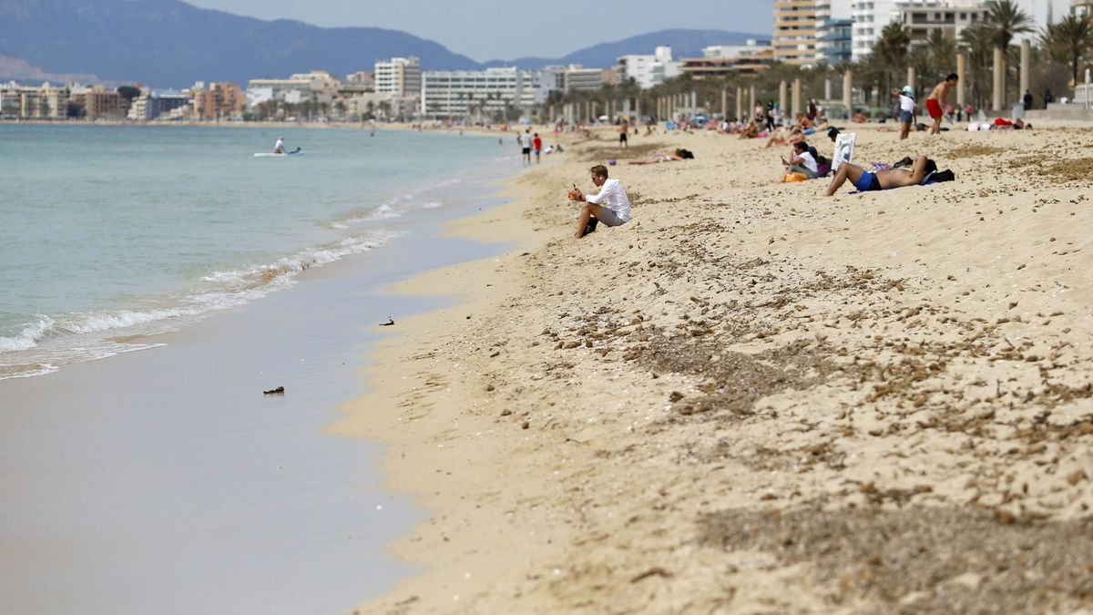 A prisión los tres detenidos por una presunta violación a una turista en Playa de Palma