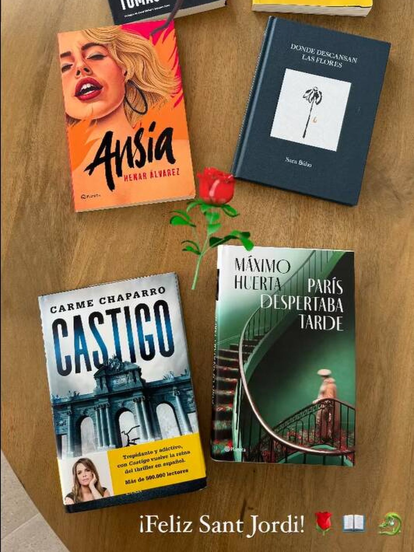 Los libros que le han regalado a Nagore Robles en Sant Jordi. (Instagram/@nagore_robles)