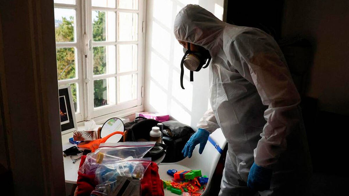 Alarma en Francia ante una plaga de chinches: cierran varias escuelas para desinfectar