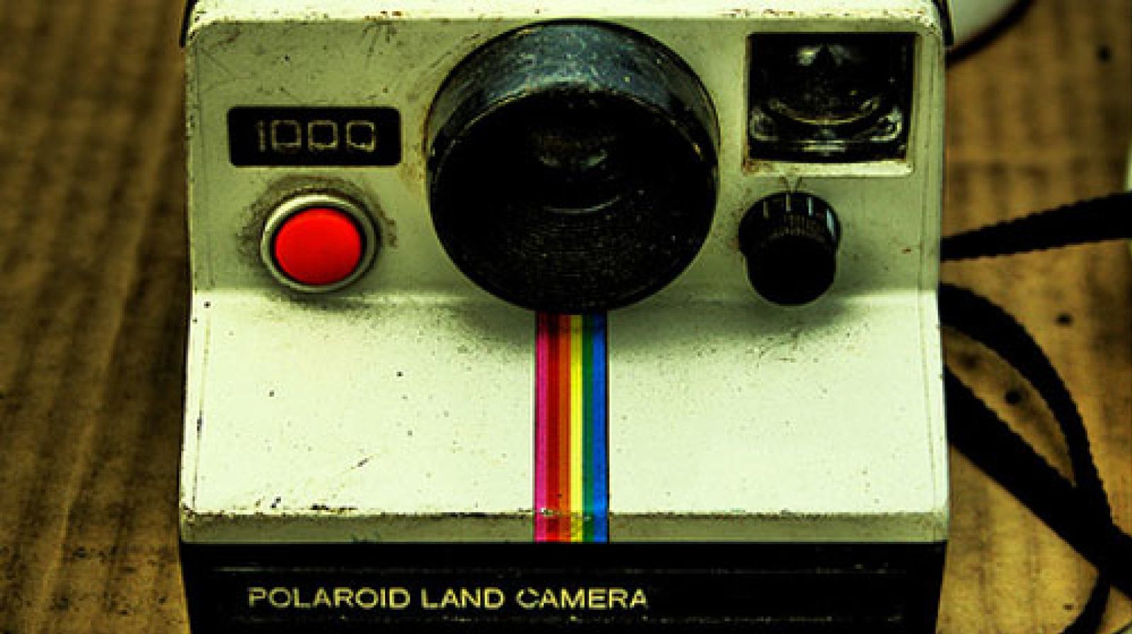 Foto: ¿Vuelve la 'Polaroid'?