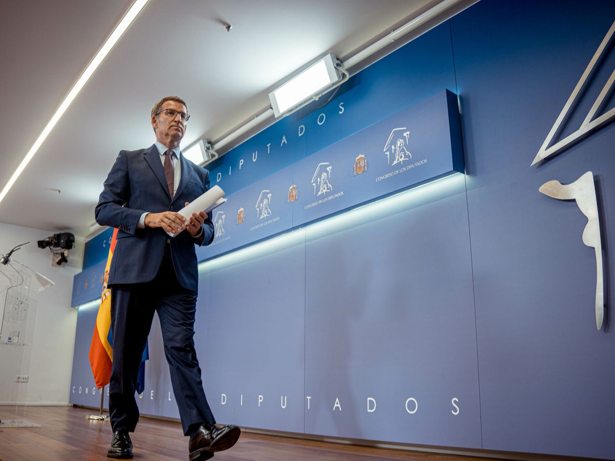Foto: El líder del PP, Alberto Núñez Feijóo. (Europa Press/Gabriel Luengas)