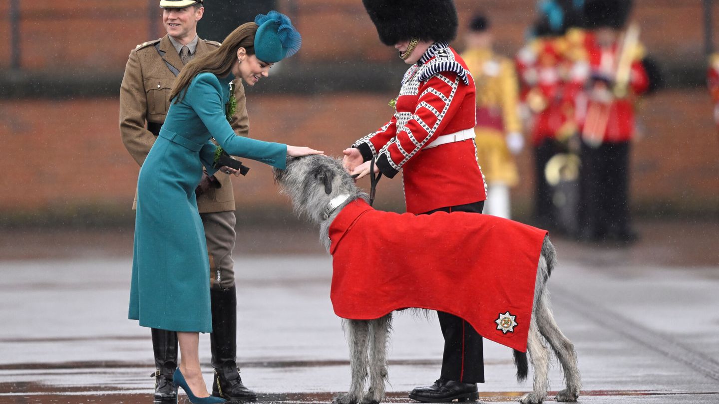 Kate Middleton, acariciando a la mascota de la guardia irlandesa. (Reuters/Toby Melville)
