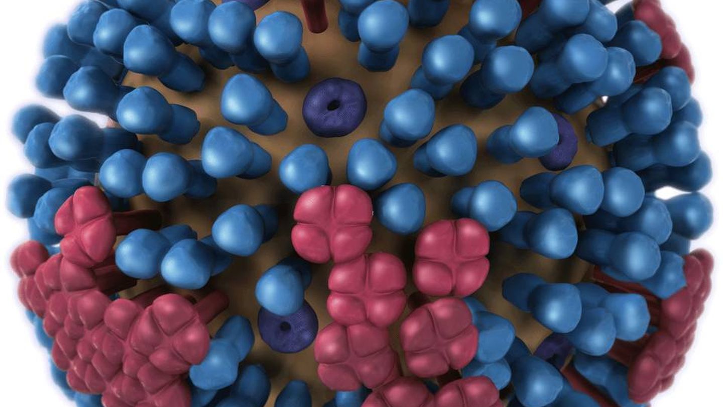 Un virus de la gripe, las chinchetas azules representan las hemaglutininas y las rojas la neuramidasas (CDC)