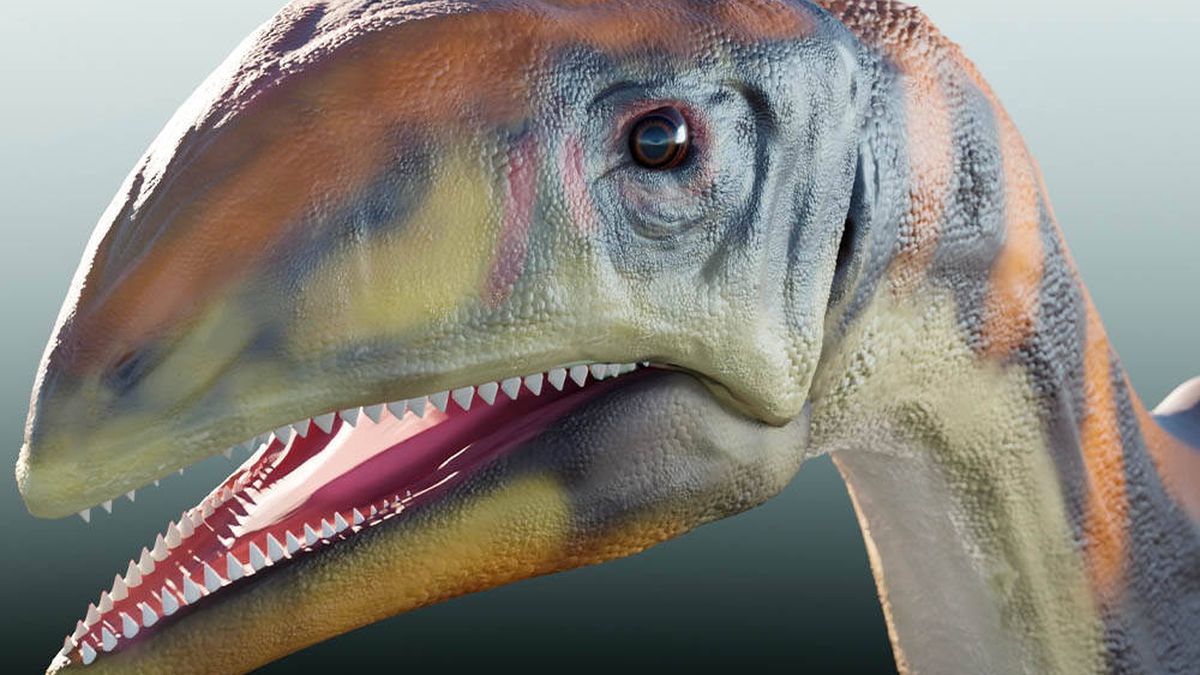 Descubren una nueva especie de dinosaurio de hace 214 millones de años