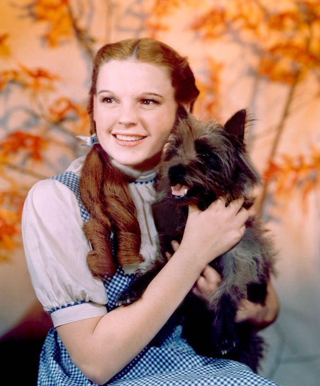 Foto: Judy Garland en 'El Mago de Oz'. (Cordon Press)