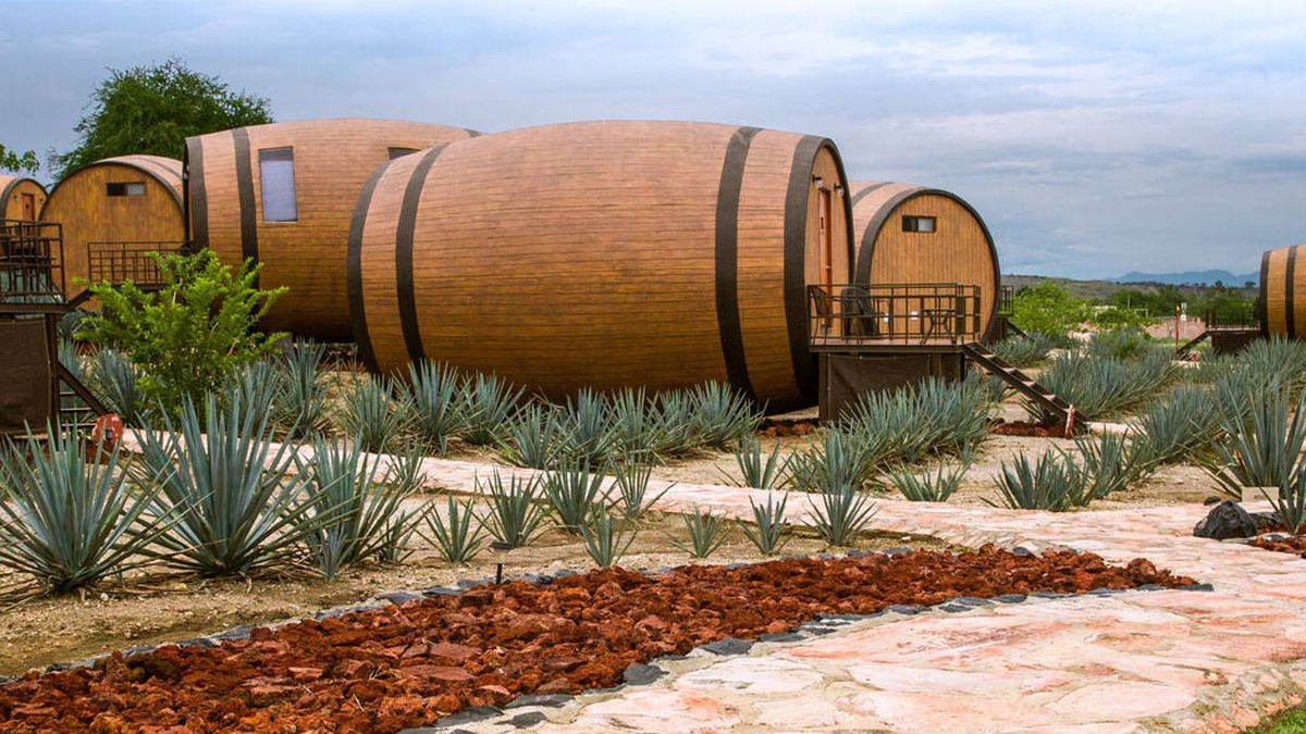 El hotel temático sobre el tequila donde los huéspedes duermen en un barril gigante