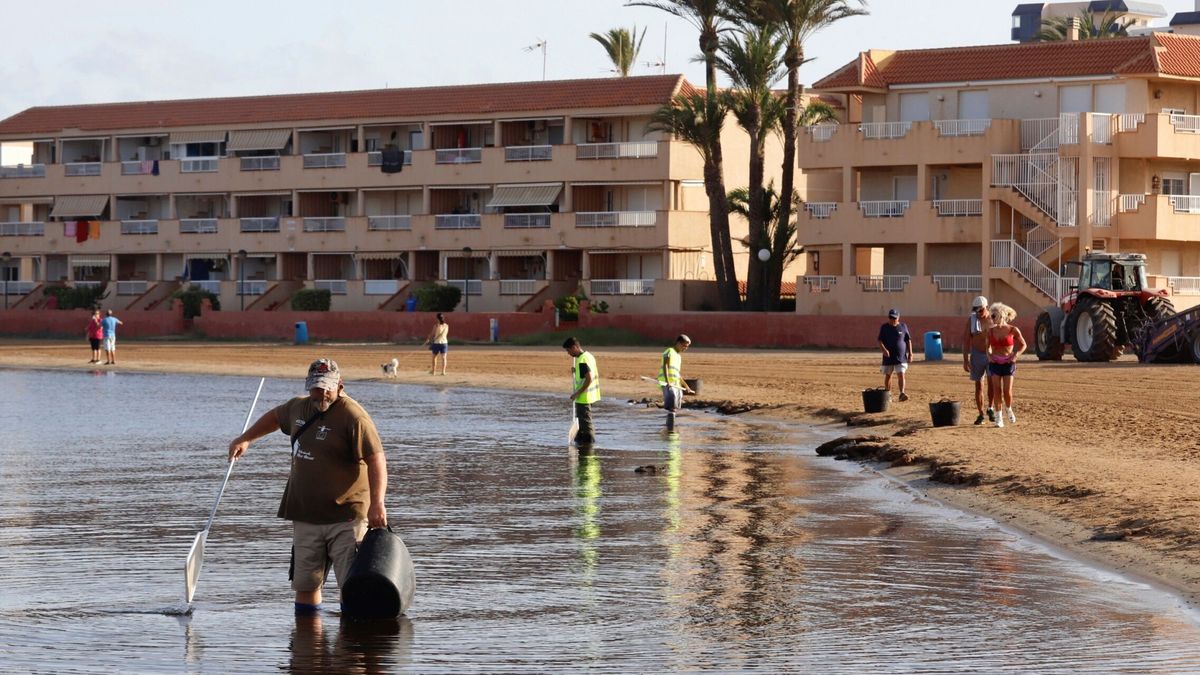 El frágil equilibrio político en el Mar Menor agrava la crisis medioambiental