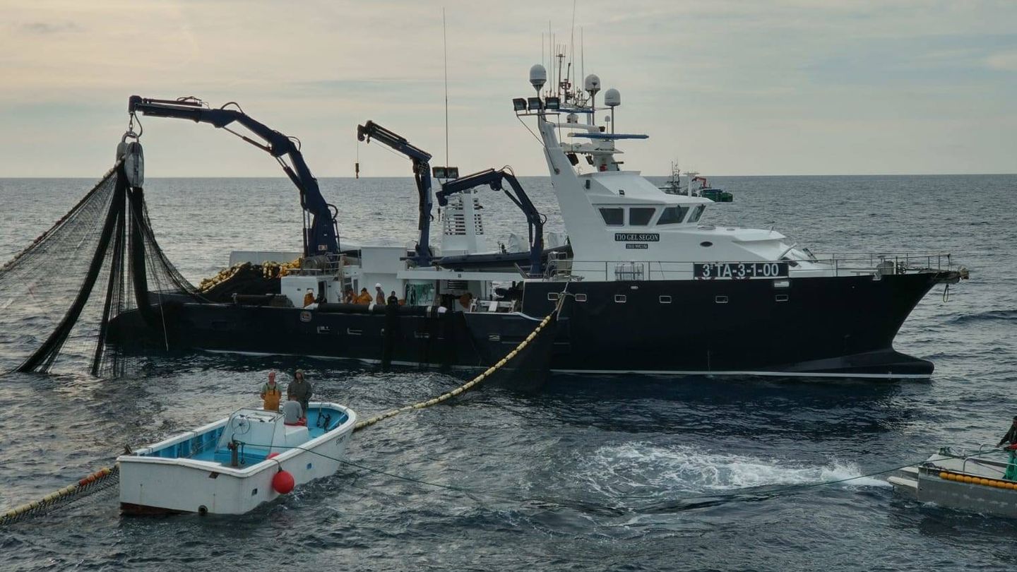 Lance de pesca de atún rojo con barco cerquero en aguas mediterráneas