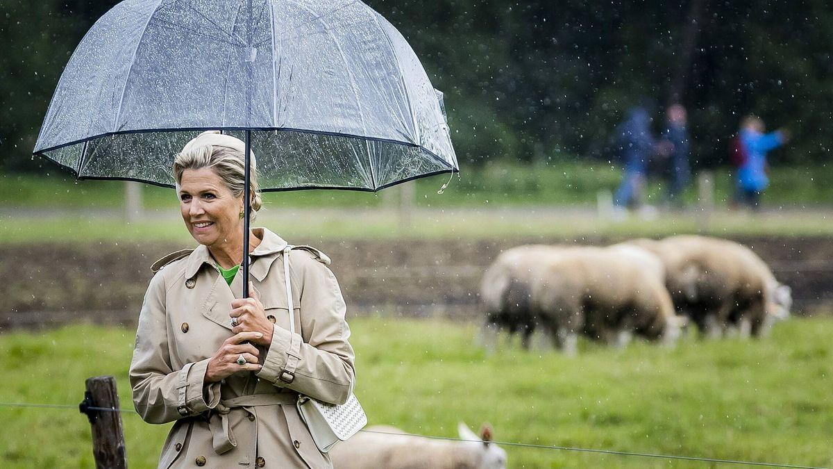 Máxima de Holanda, entre ovejas: tocado, esmeraldas y un bolso de su hija pequeña
