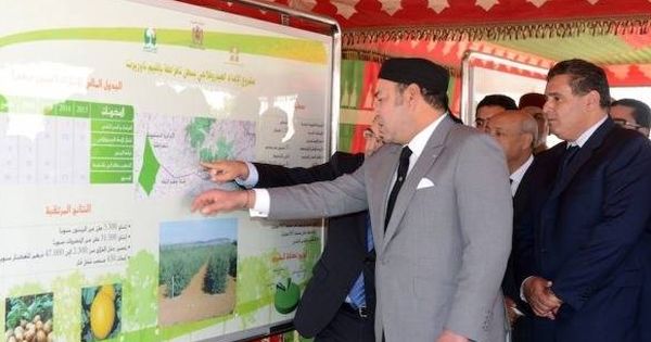 Foto: El rey Mohamed VI y, detrás, Aziz Akhnnouch, ministro de Agricultura y Pesca. (MAD)