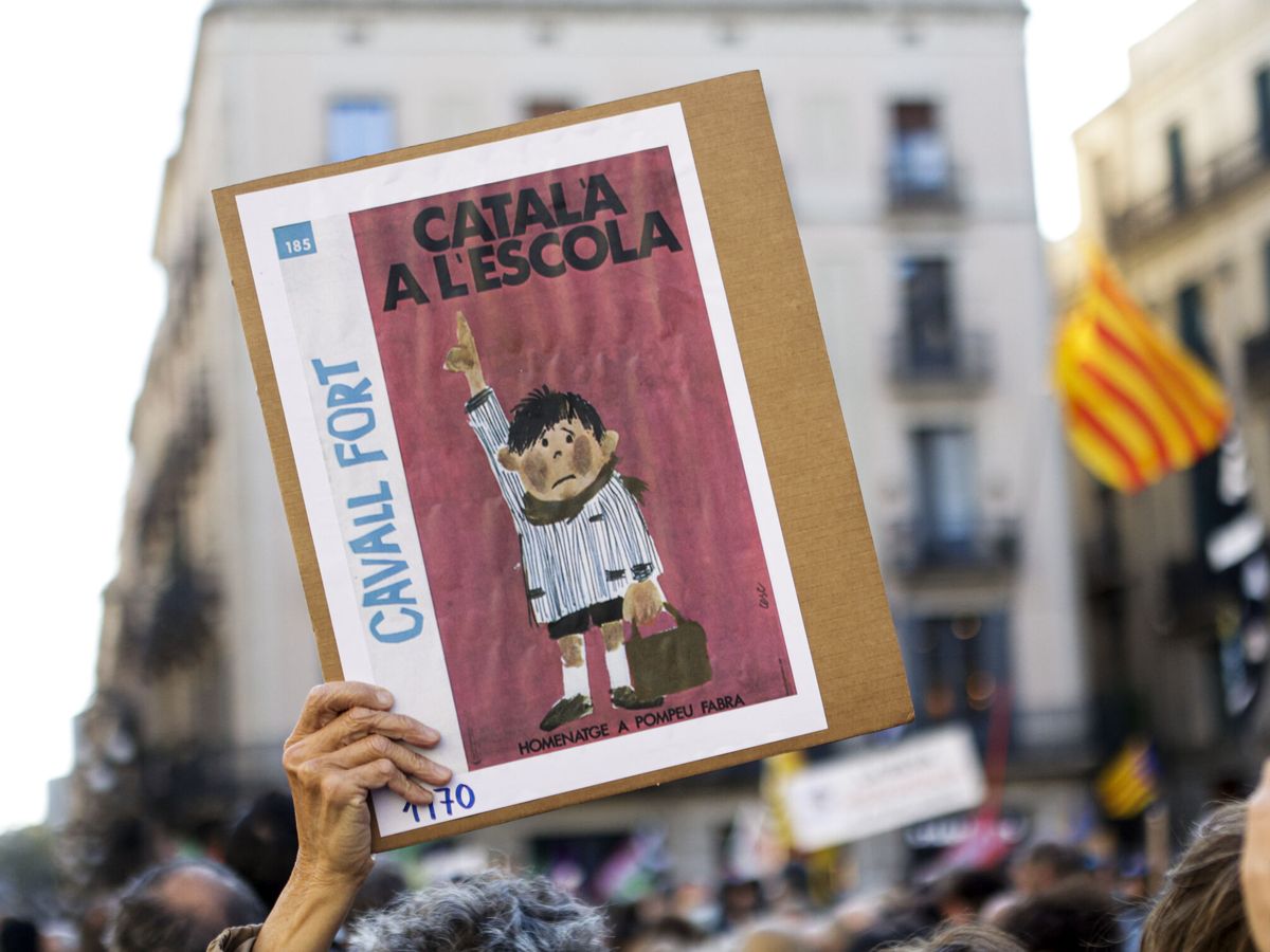 Foto: Una persona con un cartel en la manifestación en Barcelona a favor de la inmersión lingüística en catalán. (EFE/Quique García)