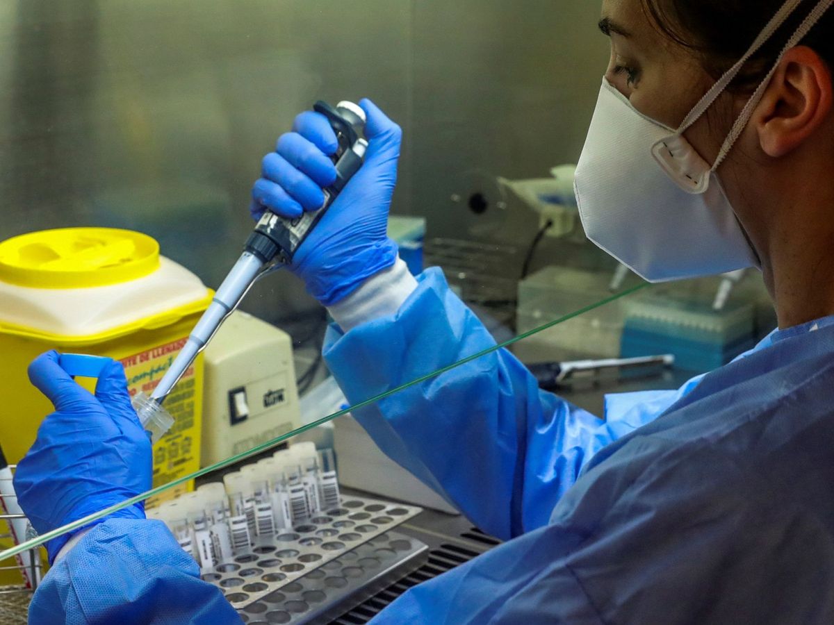 Foto: Una científica, analizando muestras en un laboratorio. (EFE)