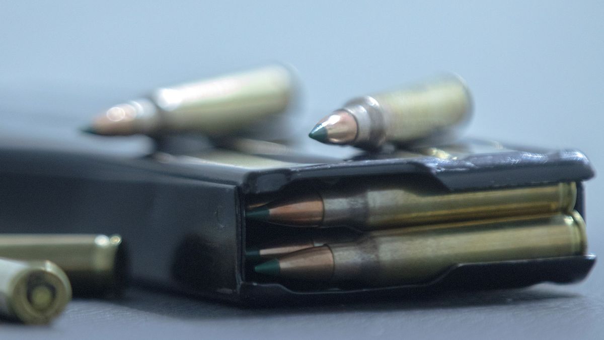 Desmantelado el mayor punto de venta ilegal de municiones en España por internet