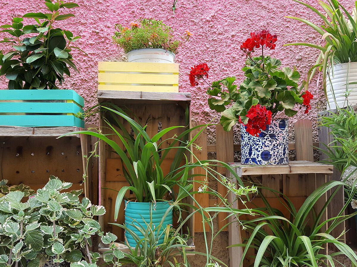 Foto: Que tus jardineras sean las más originales y destacar tus flores. (Getty)