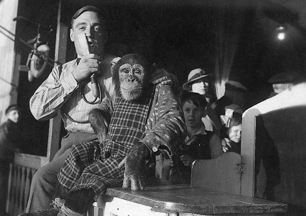 Foto: El mono cabaretero de Fritz Petter que hacía el saludo fascista (Fritz Petter)
