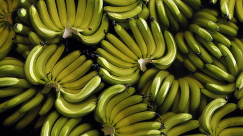 ¿Por qué una empresa de plátanos tiene que pagar 38 M por el asesinato de civiles en Colombia?