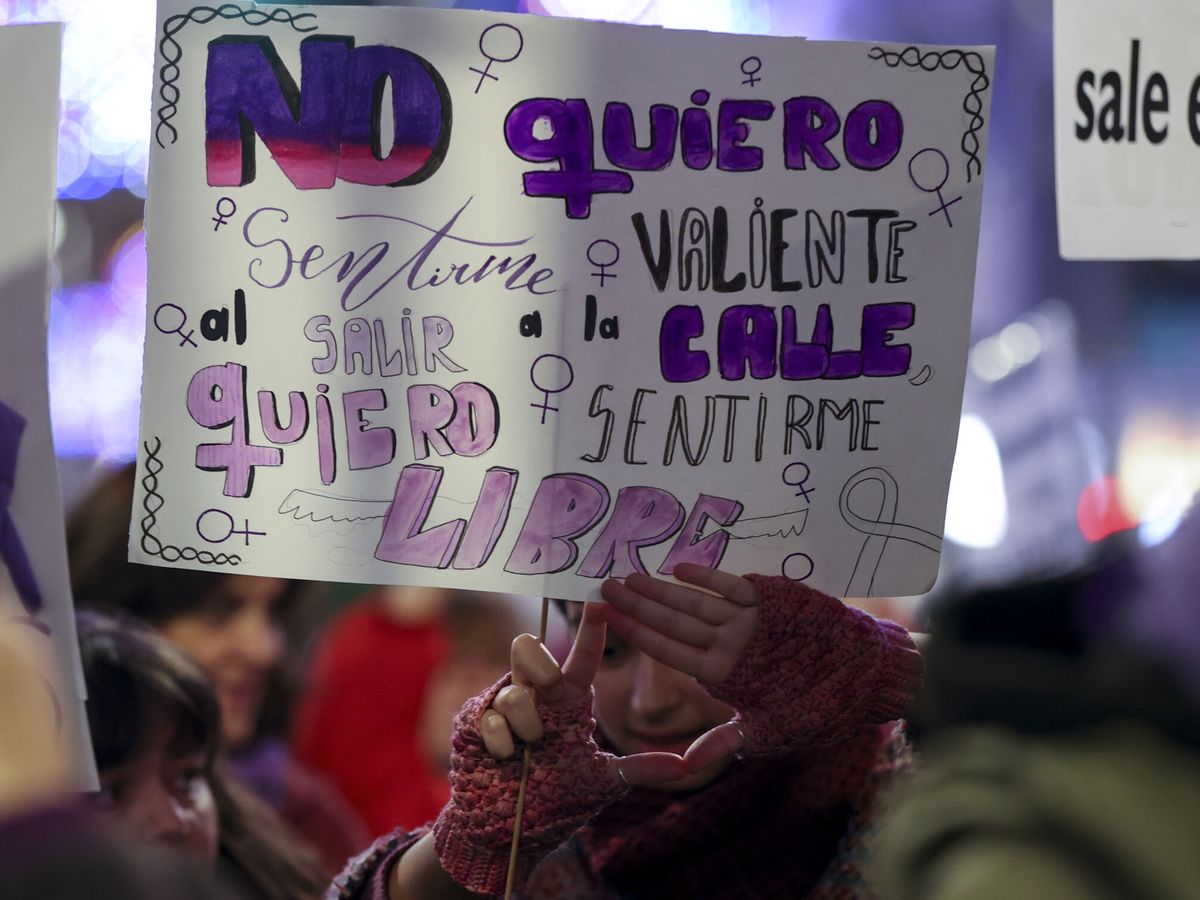 Foto: Cartel en una manifestación. (EFE/Kiko Huesca)