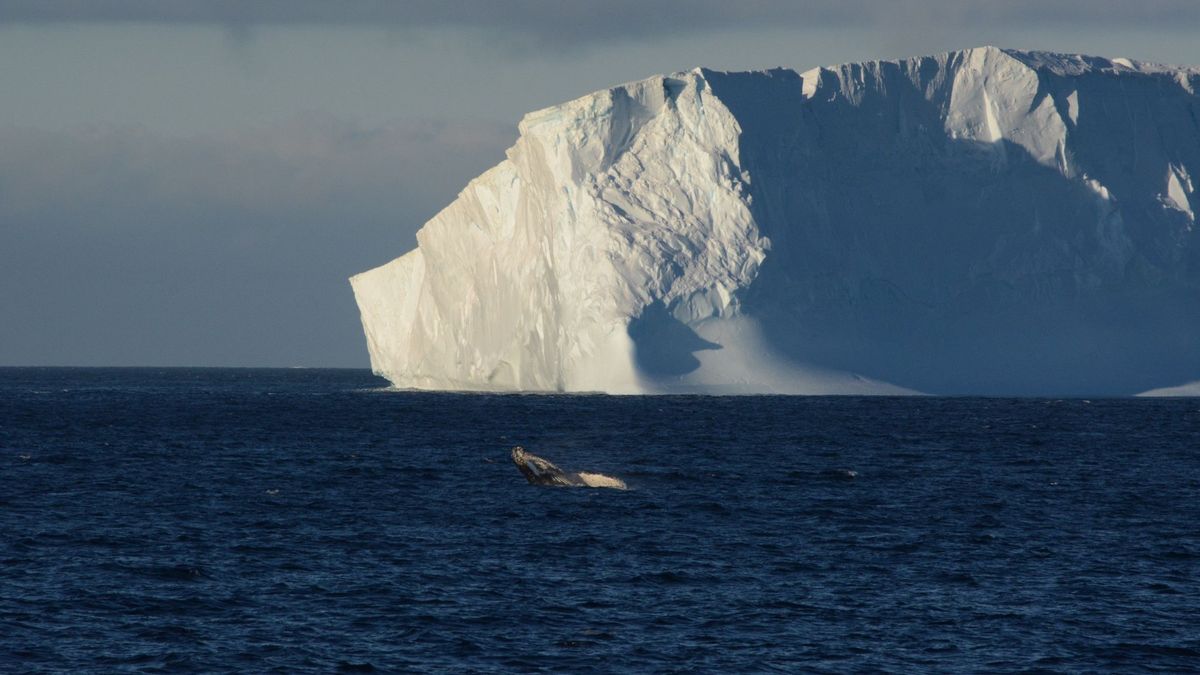 Un nuevo iceberg se desprende de la Antártida: es tan grande como Gran Canaria