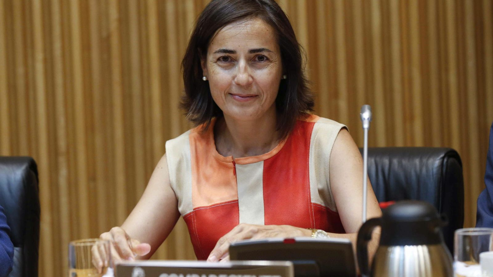 Foto: La ya ex directora general de Tráfico, María Seguí, durante su comparecencia en una Comisión de Interior. (Efe) 