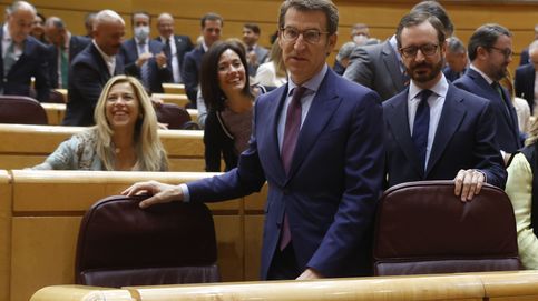 Feijóo desembarca en el Senado y se cita con Pedro Sánchez: Somos su antítesis