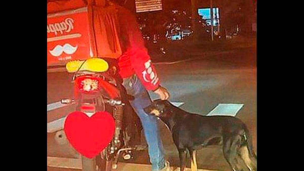 El amor de un repartidor por un perro callejero que desembocó en adopción
