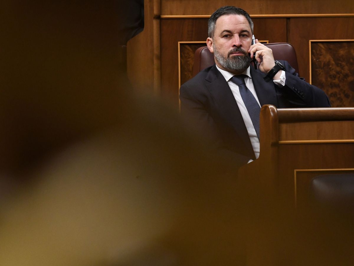 Foto: El líder de Vox, Santiago Abascal, en el Congreso de los Diputados. (Europa Press/Fernando Sánchez)