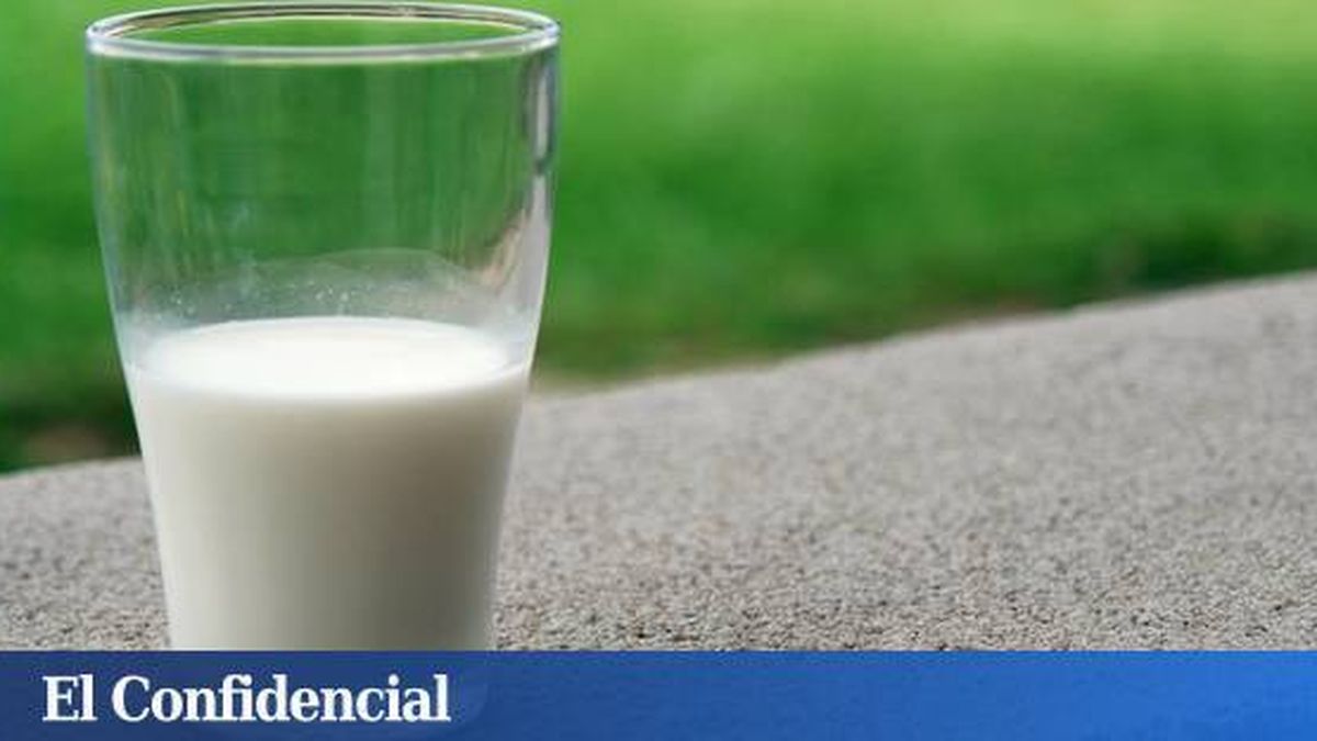 Retiran en España 28 lotes de leche infantil tras los casos de salmonella en Francia