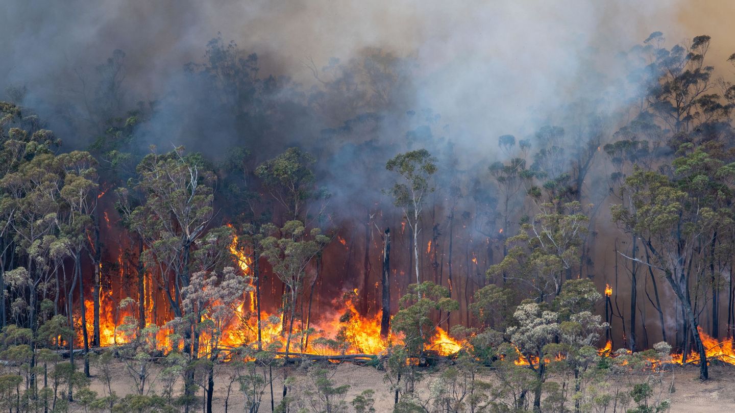 Incendios en Australia (EFE)