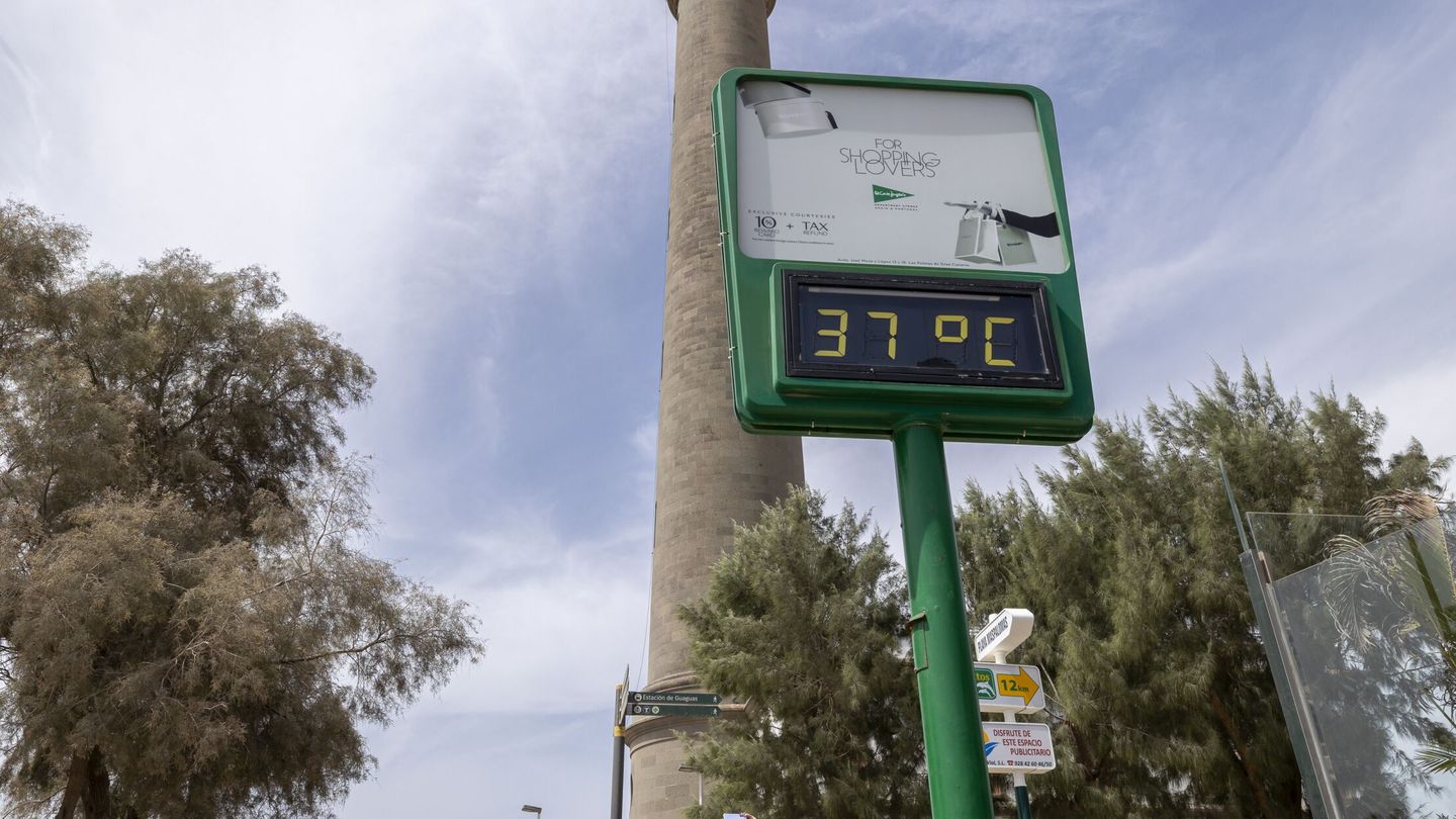 Temperaturas desbocadas en otoño en Canarias. (EFE)