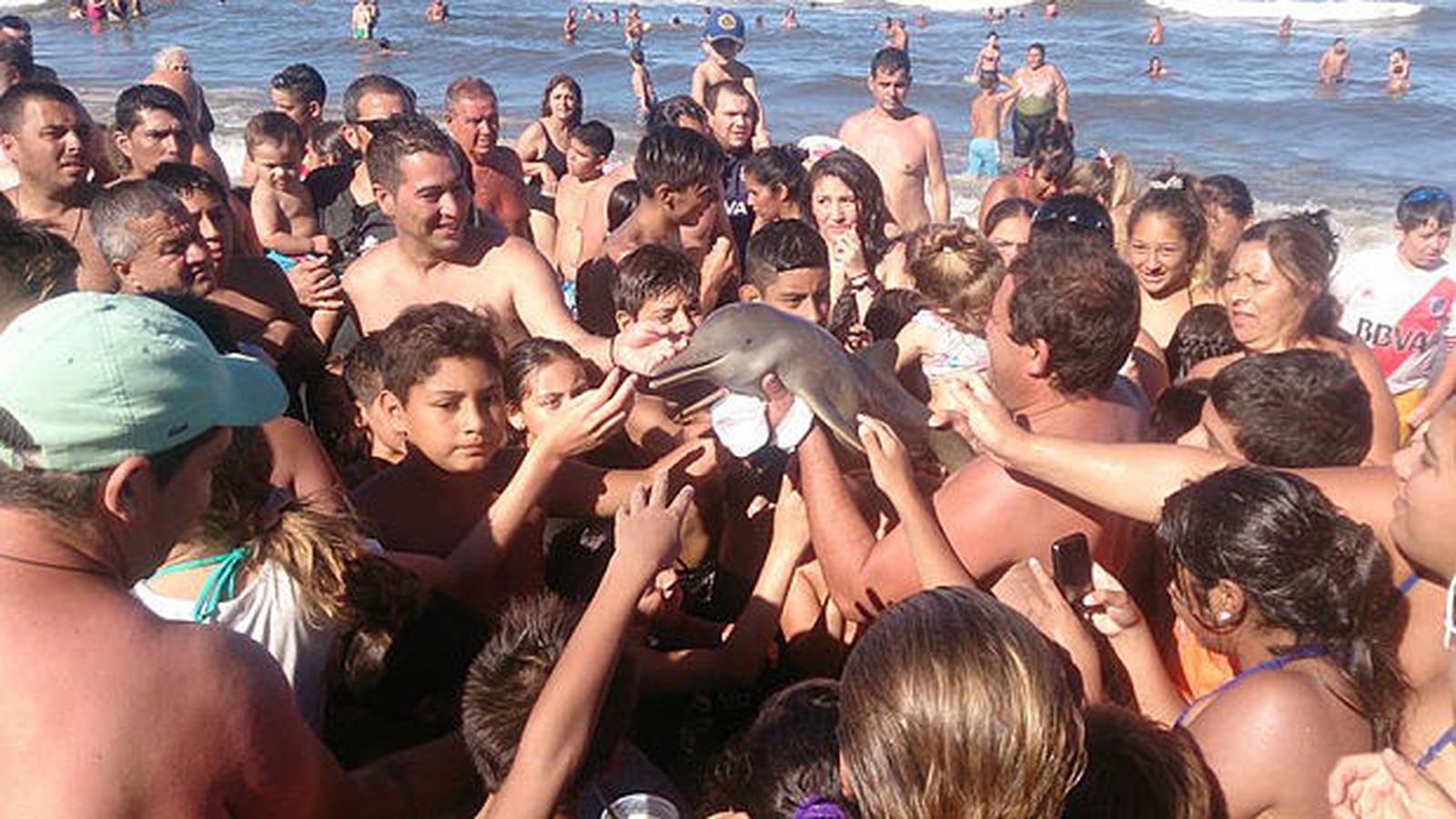 Foto: El pequeño delfín junto a los bañistas. (Hernan Coria/CEN)