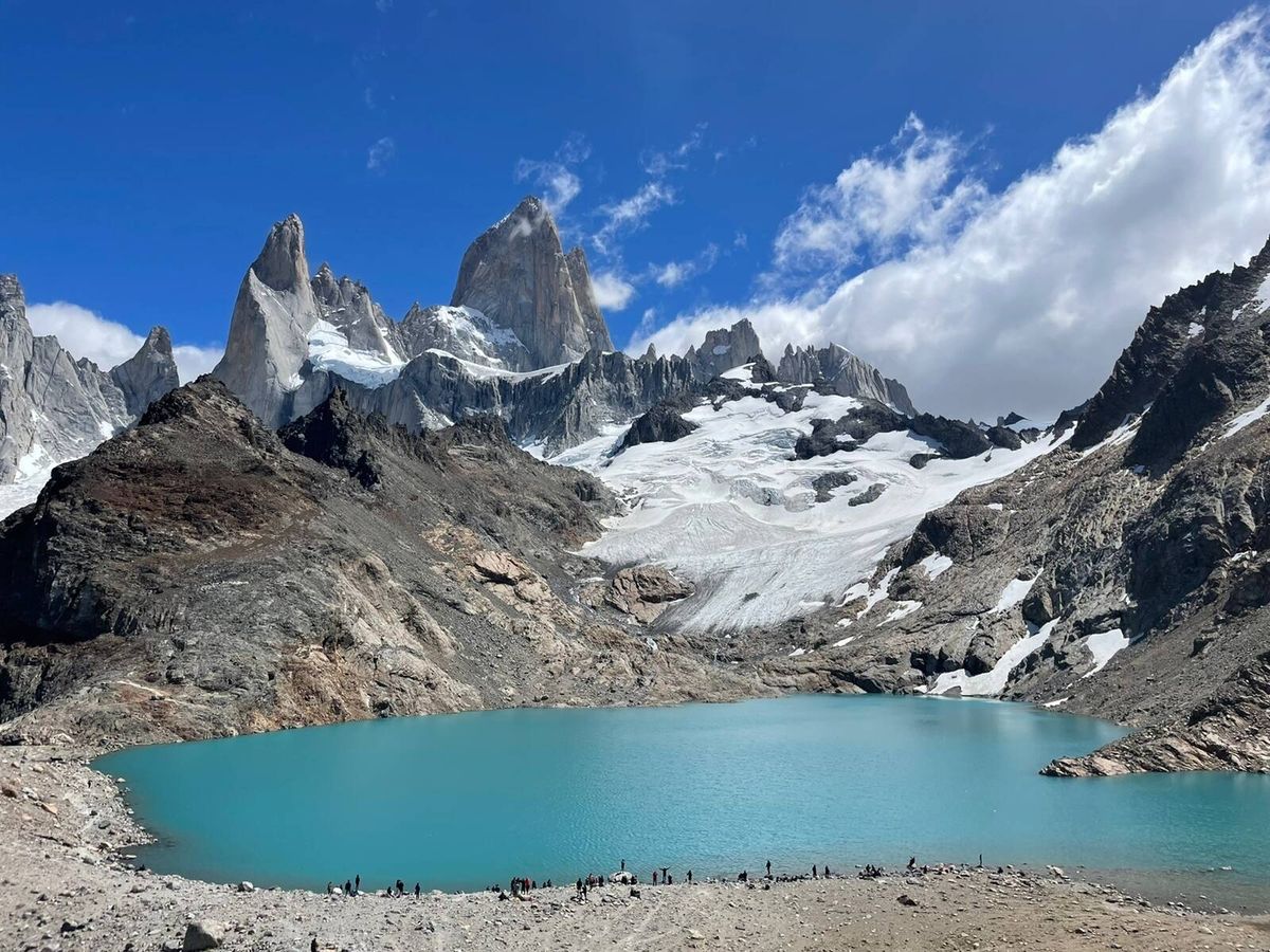 Foto: El monte de la Patagonia. (Imagen cedida por Pedro Cifuentes)
